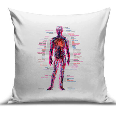 Human Anatomy Cushion Cover Thumbnail