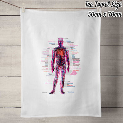 Human Anatomy Tea Towel (Premium) Thumbnail
